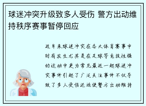 球迷冲突升级致多人受伤 警方出动维持秩序赛事暂停回应